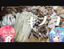 【キノコ鍋】宮崎でキノコを購入しちゃいました。【ゆっくり料理】