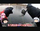 琴葉姉妹と行く釣行記録（釣り堀編part20）