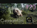【CHERNOBYLITE】チョルノービリ原発を探索するホラーなクラフトFPSでRPGする実況。＃２０
