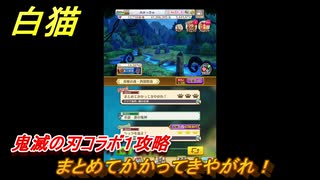 白猫　鬼滅の刃コラボ１攻略　まとめてかかってきやがれ！　ガチャキャラ　炭治郎（剣）義勇（剣）善逸（剣）禰豆子（拳）伊之助（双剣）　＃１５　【白猫プロジェクト】