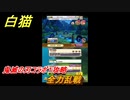 白猫　鬼滅の刃コラボ１攻略　全力乱戦　ガチャキャラ　炭治郎（剣）義勇（剣）善逸（剣）禰豆子（拳）伊之助（双剣）　＃２１　【白猫プロジェクト】