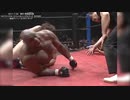【特別公開】男色ディーノ vs ボブ・サップ ／ 2011.7.24 東京・両国国技館
