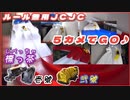 【天空のJCJC⑤】５カメでGO♪標っ茶 壱號＆弐號♪【ルール無用JCJCタイムアタック】Mini4WD