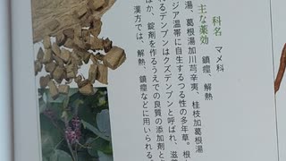 ワクチンと、コウロギの役割。『短命化不妊政策』