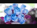 #知☆由☆理 #Chiyuri☆Nagayama