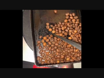 珈琲豆　初ロースト　上手い