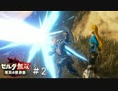 こんなパリィを決めたい　ゼルダ無双 厄災の黙示録実況　#2