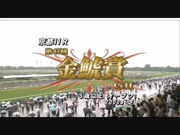 【ウマ娘風】第47回金鯱賞(2011)【ルーラーシップ】