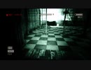 ゆっくりが今更精神病院を駆け巡るpart11