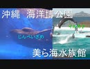 沖縄県　海洋博公園　美ら海水族館