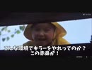 ペニーワイズはDBDユーザーに三角様を進めたいようです