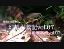 【水草07】トリミングと経過報告【地層07】ベタ飼い始めました