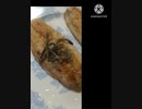 舌ビラメにいそ松葉ちょっと多すぎ挑戦挑戦挑戦でも失敗舌ビラメ違った三度裏目