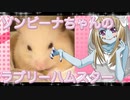 ゾンビーナのハムスターの日常。8
