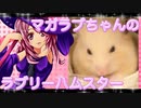 マガラブのハムスターの日常8