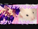 マガラブのハムスターの日常9