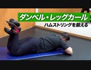 【筋トレ】ダンベル・レッグカールのやり方 | ハムストリングを鍛える種目【ビーレジェンド プロテイン】