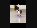 20CM 着せ替えぬいぐるみ用オートバイ
