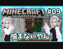 【マイクラ】利己的ゾンビドクター【バ美肉Vtuber】【MOD】Part9