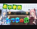【龍間球場】大阪の秘境球場・第三の刺客！みんな、生駒の山の奥へあつまれるか？【VOICEROID球場探訪】