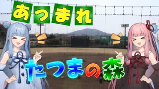 【龍間球場】大阪の秘境球場・第三の刺客！みんな、生駒の山の奥へあつまれるか？【VOICEROID球場探訪】