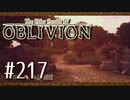 実況 ◇ The Elder Scrolls IV: オブリビオン ◇ 第217幕