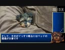 『ヨープ―』子犬がトイレを覚えるRTA part０『お迎え編』