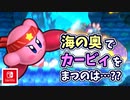 【星のカービィ Wii デラックス実況】空から謎の宇宙船が！？カービィの人助けの冒険がはじまる！！part14