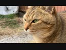 暖かくなってきたら…