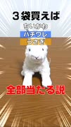 ちいかわアクリミニ