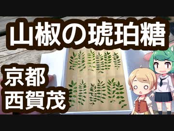 至高の和菓子！チーズ大福と山椒の琥珀糖 - 京都 西賀茂