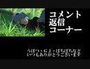 【BBPS4】AA3エヴァ板住人の境界突破【S19ラナクアB①】