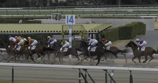 2023年3月5日_中山競馬_1R_3歳未勝利_ダート1800