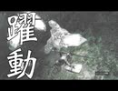 【初見】ほぼポケモンコラボ【ダークソウルリマスタード】part9