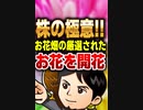 株の極意！お花畑の厳選されたお花を開花