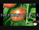 【ゆっくり朗読】ゆっくりさんと不思議な病気 その562