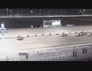 2023年3月7日高知競馬6R お兄さま協賛 ライスへ愛を叫ぶ特別(C1-3組) ヘルシャフト
