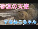すなねこちゃんに勝手にセリフ付けた件