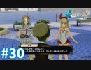 【実況】フィリスのアトリエDXをまったりプレイ part30