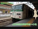 【乗車日記002】 団体列車 「185系」 甲府→小机