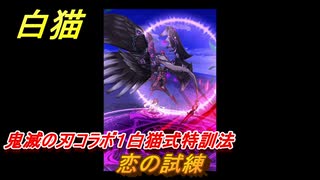 白猫　鬼滅の刃コラボ１白猫式特訓法　恋の試練　ガチャキャラ　炭治郎（剣）義勇（剣）善逸（剣）禰豆子（拳）伊之助（双剣）　＃７５　【白猫プロジェクト】