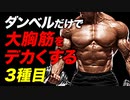 【筋トレ】ダンベルだけで大胸筋をデカくする 3種目 | ボディビルチャンピオンが解説【ビーレジェンド プロテイン】