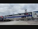 アメリカの踏切で珍しいアムトラック エンジン | Amtrak 184 at Marsh Ave Railroad Crossing, Mount Pleasant, IA 9/3/22