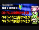 【VOICEVOX解説】初心者向け国際法解説　ロシアのウクライナ侵略の見方