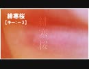 【ニコカラ】緋寒桜 / れん＜off vocal＞[キー －3]