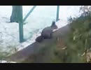 ぶらり散歩　#59　2023/3/8