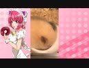 にゃんこ・キャトリンリンのハムスターの日常。