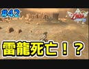 【ゼルダの伝説スカイウォードソード】空と大地と時々姫と_Part41【実況】