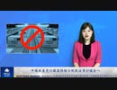 中国共産党の臓器移植の制裁法案が議会へ