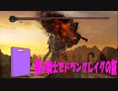 【ダークソウル2】煙の騎士でドラングレイグの旅がしたかった【改造】
